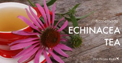 Homemade-Echinacea-Tea